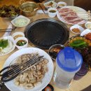 미스터봉막창 - 달서구 두류공원로50길 13 | 미스터봉막창