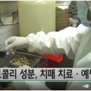 설포라바이오 이미지