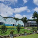 남원읍-95 이미지