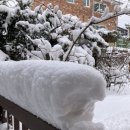 잉글랜드제화 이미지