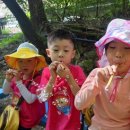 대청유치원 이미지