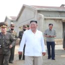 닭공장 국민일보