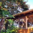 시월에농장 이미지