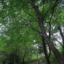 삼일민족대표 양한묵 | [독립투사] 화순 트립, 지강 양한묵[ 梁漢默 ] 선생 묘소, 독립지사, 3.1운동 민족대표 33인,