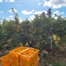 주현2농장 이미지