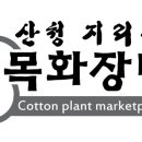 목화한의원 이미지