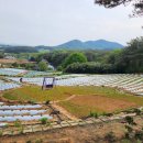 사자벌농장 이미지