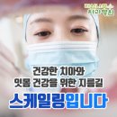 라임나무치과병원 네이버블로그