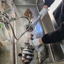 추자 정 민박 이미지