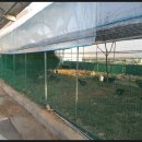 황산벌둥지마을 이미지