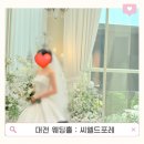 씨엘블루호텔 | 대전 씨엘드포레 웨딩홀 하객 솔직 후기(주차 뷔페)