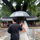 향교로 3 | 전주향교 명륜당결혼식 후기