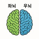 정서진로 | 평촌 본질의 숲 지문 진로적성검사 후기 아이 진로 고민에도 좋은 커플 검사 경험담