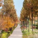 푸른산수목원 이미지