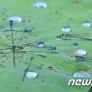 장량동 햇살 이미지