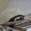 동부산삼정그린코아아파트 | [부산누수 탐지24] 동부산 삼정그린코아 아파트 베란다 방수층 누수