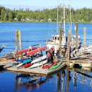 안전한사람들(SAFE PEOPLE) 이미지