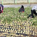 로봇RD센터 이미지