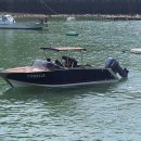 코델리아 이미지