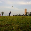 강남게이트볼장 이미지