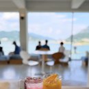 로우풀 | 핑크뮬리 명소 경남 합천에 위치한 대형카페 "로우풀" 방문후기