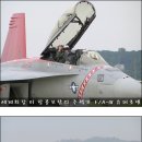 [ 죽돌이 찍은 비행사진 이야기 (3) ] 미 항공모함의 안방마님, F/A-18 슈퍼호넷 이미지