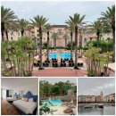 스포르토 | 유니버설 올랜도 리조트 로우스 포르토피노베이 호텔 후기