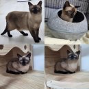 인동28길-8 이미지