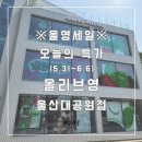 (울산 남구)올영세일, 오늘의 특가 올리브영 울산대공원점