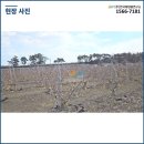 감곡 태양광발전소 이미지