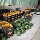 우곡농장 이미지