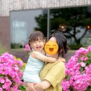 아랑디 | 아랑디 조경이 예쁜 제주 카페(790일 육아기록)