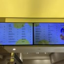 딸기도넛자두커피 | 전남대도넛 두바이도넛 맛집 카페 글로어 전대정문점