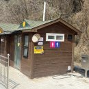 능수버들공원 | 창녕가볼만한곳, 창녕 남지 개비리길벚꽃 수양벚꽃 실시간 후기