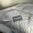 개공감 | 수면공감 우유베개 내돈내산 사용 후기