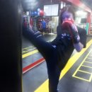 Mr.킥복싱 이미지