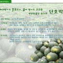 정안농장 이미지