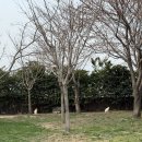 하단동1233 | 부산 힐링 일상 | 을숙도 낙동강하굿둑 생태조류관찰대 &amp; 만화카페 벌툰 후기
