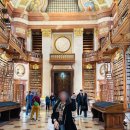 (주)버킷플레이 | 메종마르지엘라 5AC 버킷백 스몰&amp;블랙 내돈내산👜| 1년 실사용 후기| 수납력, 착용감, 코디 활용