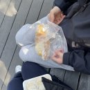 관악산 무장애길을 반무장애길로 다녀온 트레킹 후기