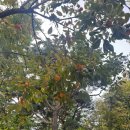 반포대로30길 55 | [251016~1031] 가을, 집들이 초대, 서초 맛집, 교대 맛집, 서초 카페, 신촌 독수리다방, 용산 이자카야...