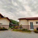 금릉황토 이미지