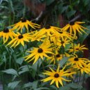 화당2리 이미지