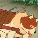 숙자소반 이미지