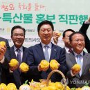 성주