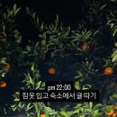 수수미미 이미지