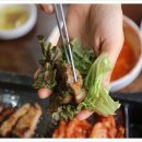 대가생태랑동태랑 이미지