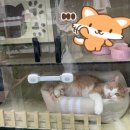 정다운꽃집 이미지