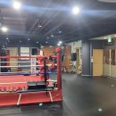 탑 복싱클럽 이미지