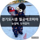 경기도 시흥 월곶에코피아 사계절 눈썰매장 빙어잡이 체험 후기